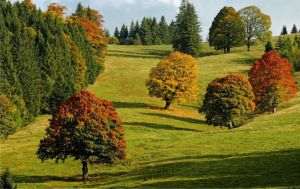 September 2025, one of the warmest months on record